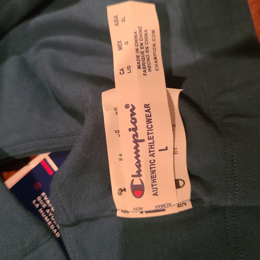 Champion Greenish Blue Sports Bra Size Large - Picture 5 of 5